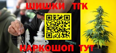 индика Кунгур
