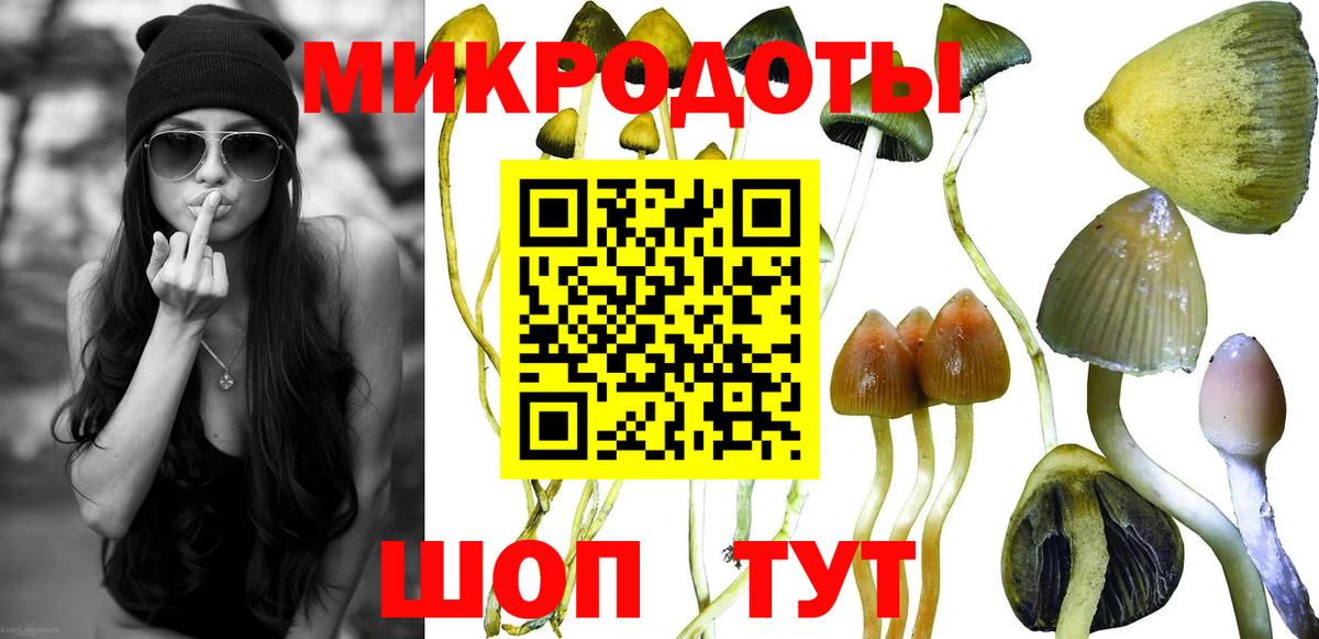 Галлюциногенные грибы мицелий  Вход с VPN  цены наркотик  Галлюциногенные грибы Psilocybe  Карталы 